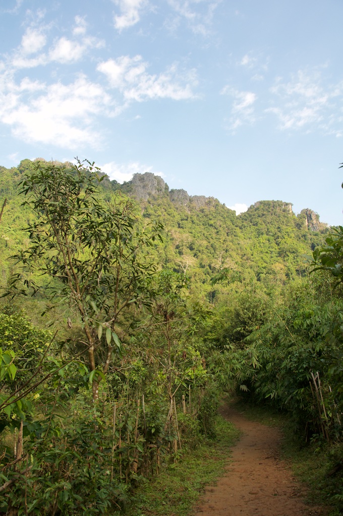 Jungle near viewpoint Vang Vieng