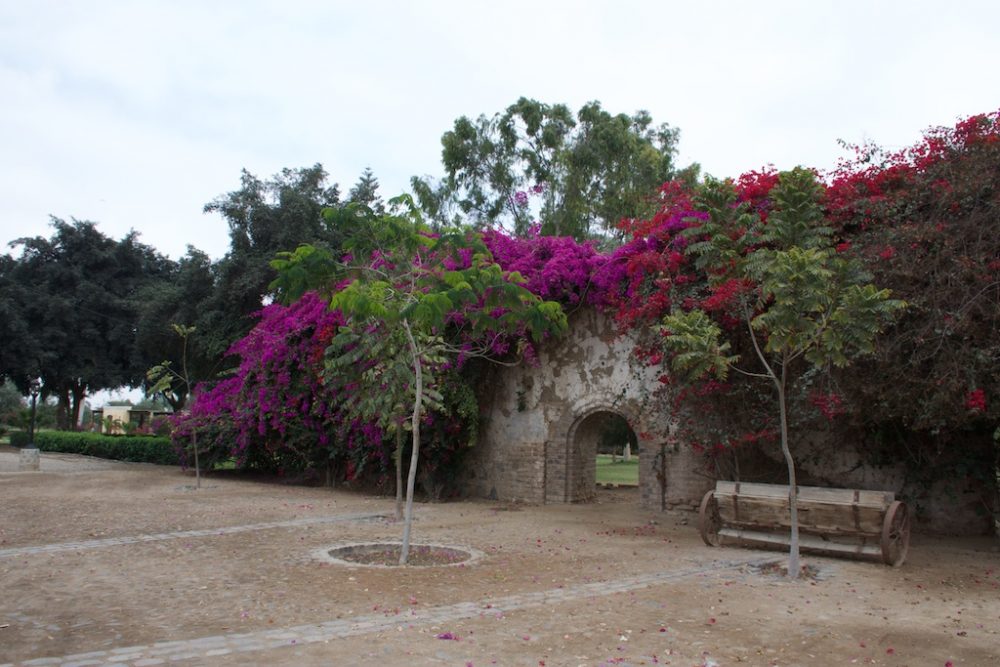 Hacienda San Jose, oude katoen plantage