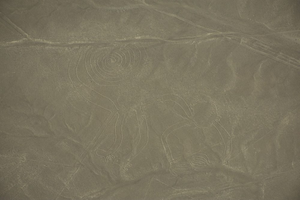 Nazca aap tekening vanuit het vliegtuig