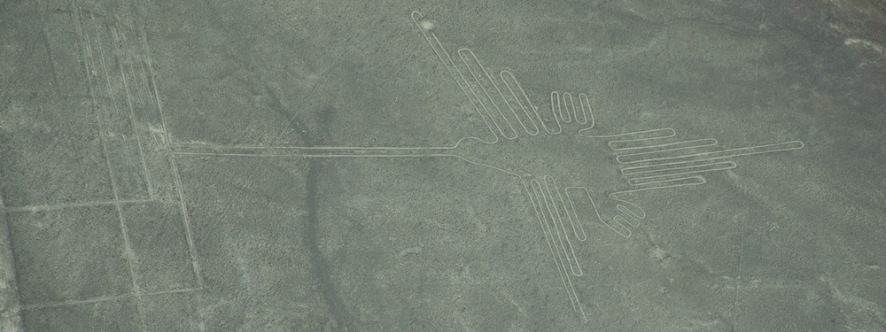 Nazca tekening van een colibri