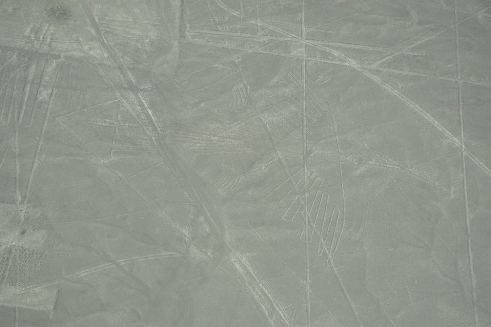 Nazca tekening van een arend