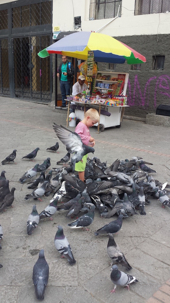 Noa voert duiven, Cuenca