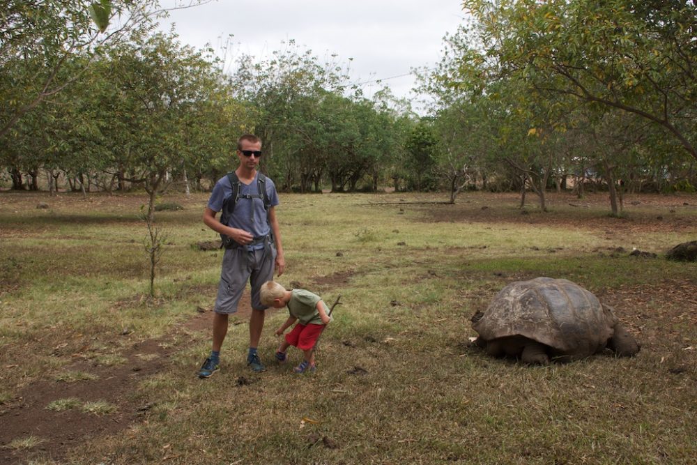 Michiel en Noa bij een giant tortoise, El Chato