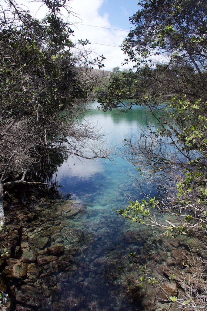 Laguna Las Nymfas