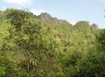 Jungle bij uitzichtpunt Vang Vieng