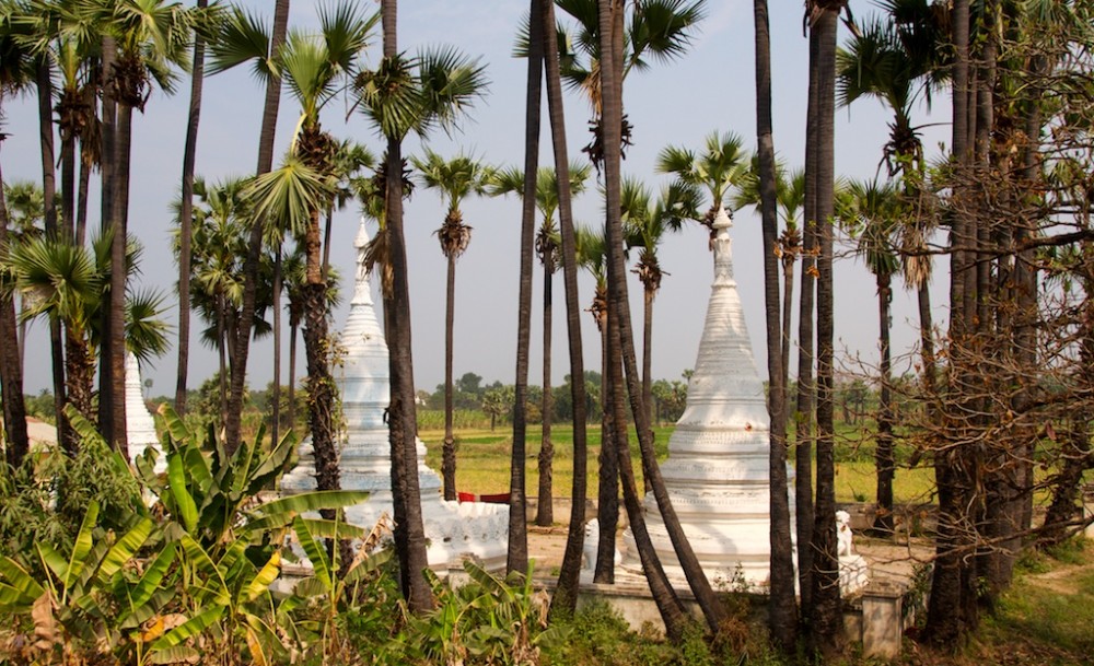Stupa's tussen de palmbomen