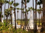 Stupa's tussen de palmbomen