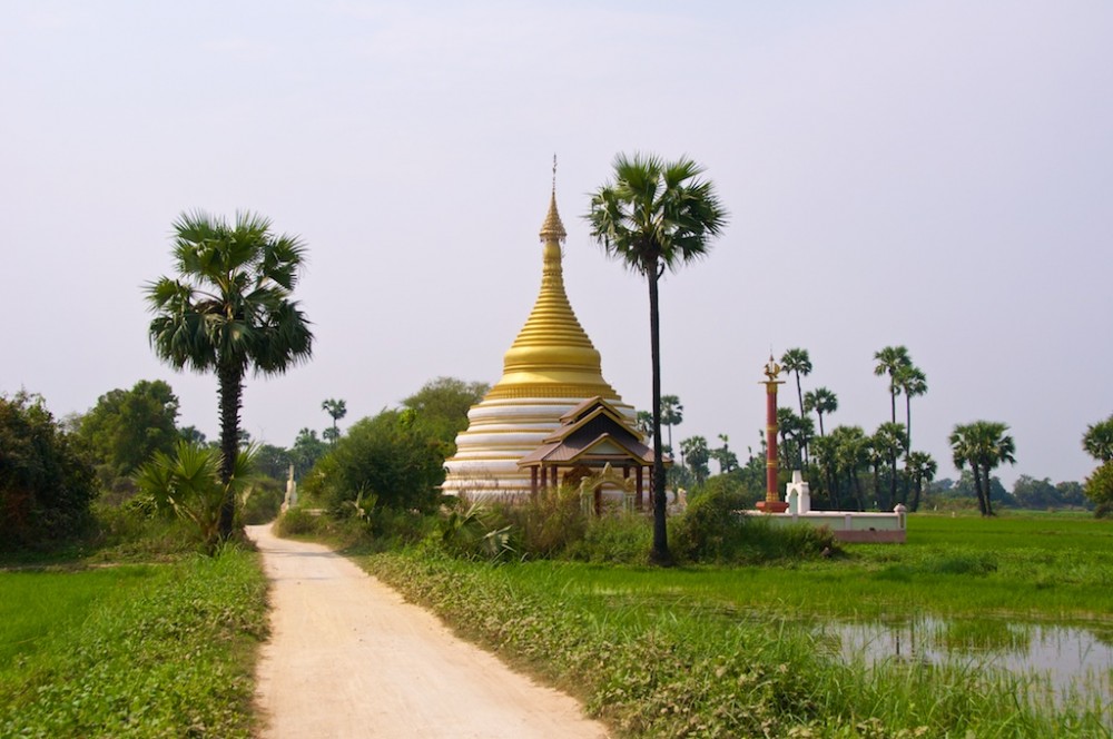 Stupa in de rijstvelden
