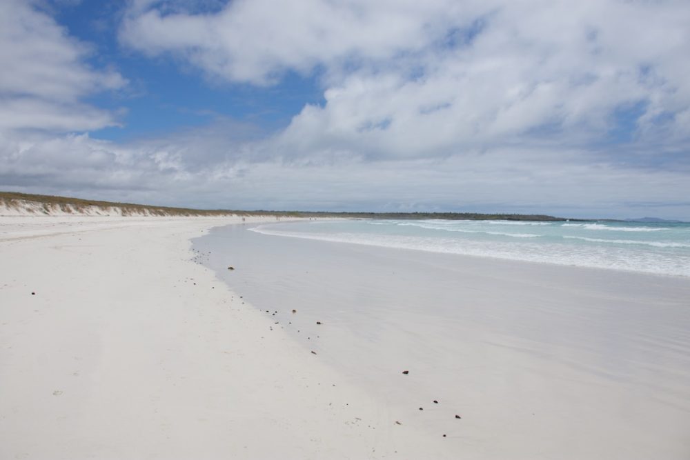 Strand voor Tortuga Bay